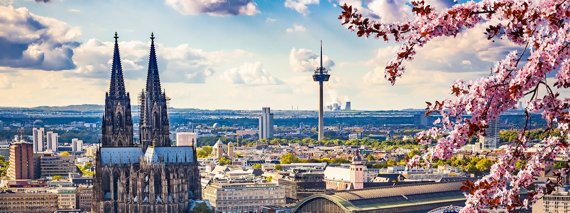 Quelle: S.Borisov/ Shutterstock.com