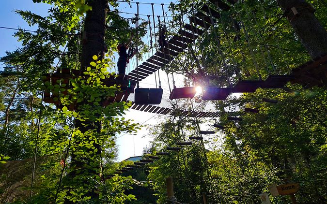 Besucher eines Kletterparks hangeln sich entlang von Seilen durch eine grüne Baumlandschaft.