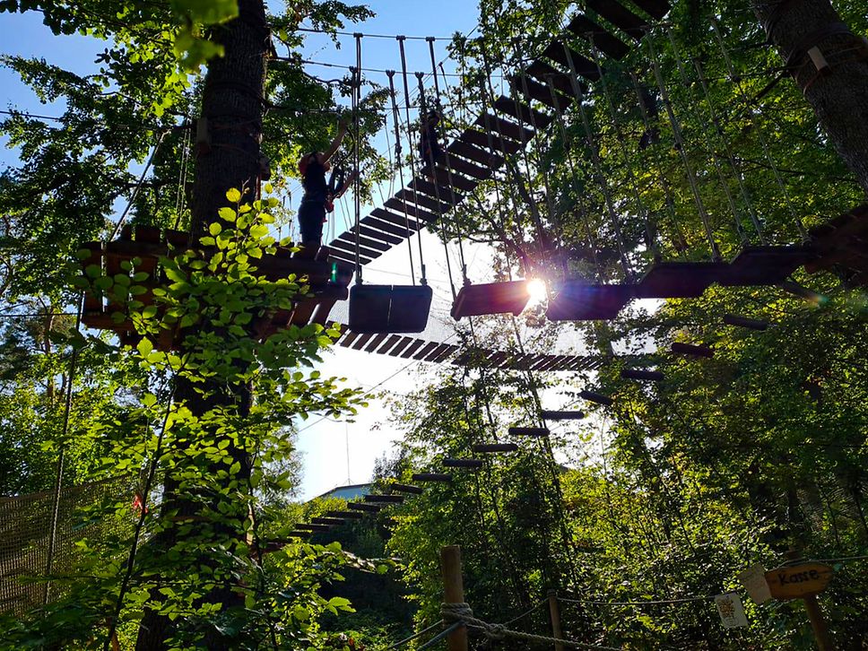 Besucher eines Kletterparks hangeln sich entlang von Seilen durch eine grüne Baumlandschaft.