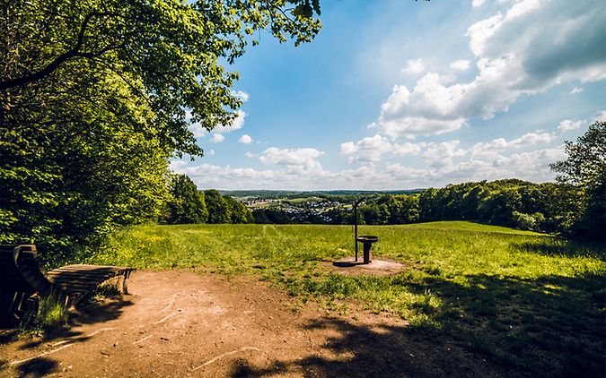 Wildwiesenweg bei Eitorf_3