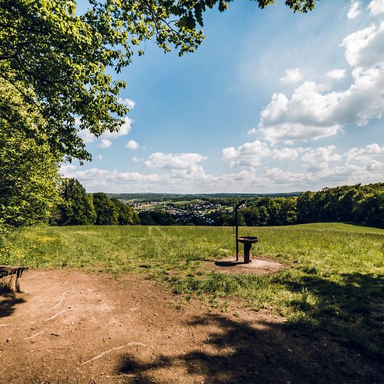 Wildwiesenweg bei Eitorf_Headerbild