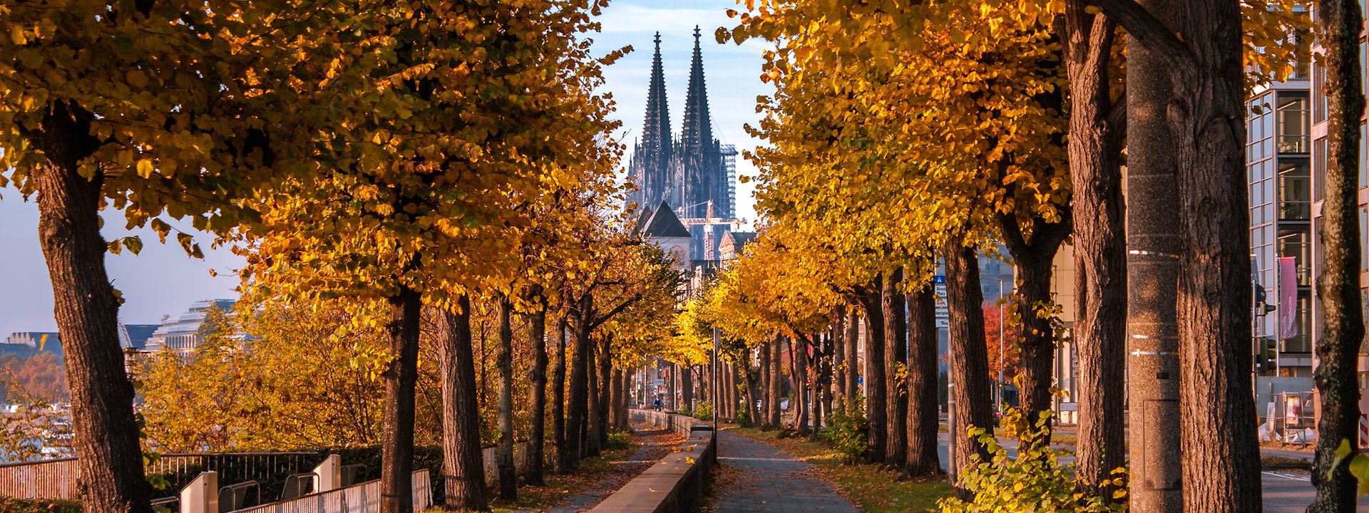 Quelle: Lars/stock.adobe.com Köln im Herbst
